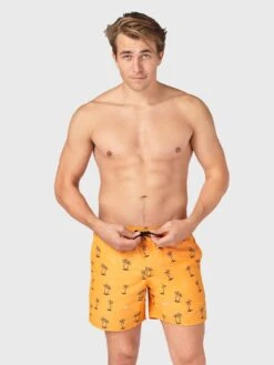 Brunotti CrunECO-Mini-N Men Swim Shorts | Yellow-Orange