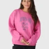 Brunotti Ari Women Sweater | Pink