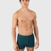 Brunotti SaabECO-N Men Swim Trunks | Fuel Green