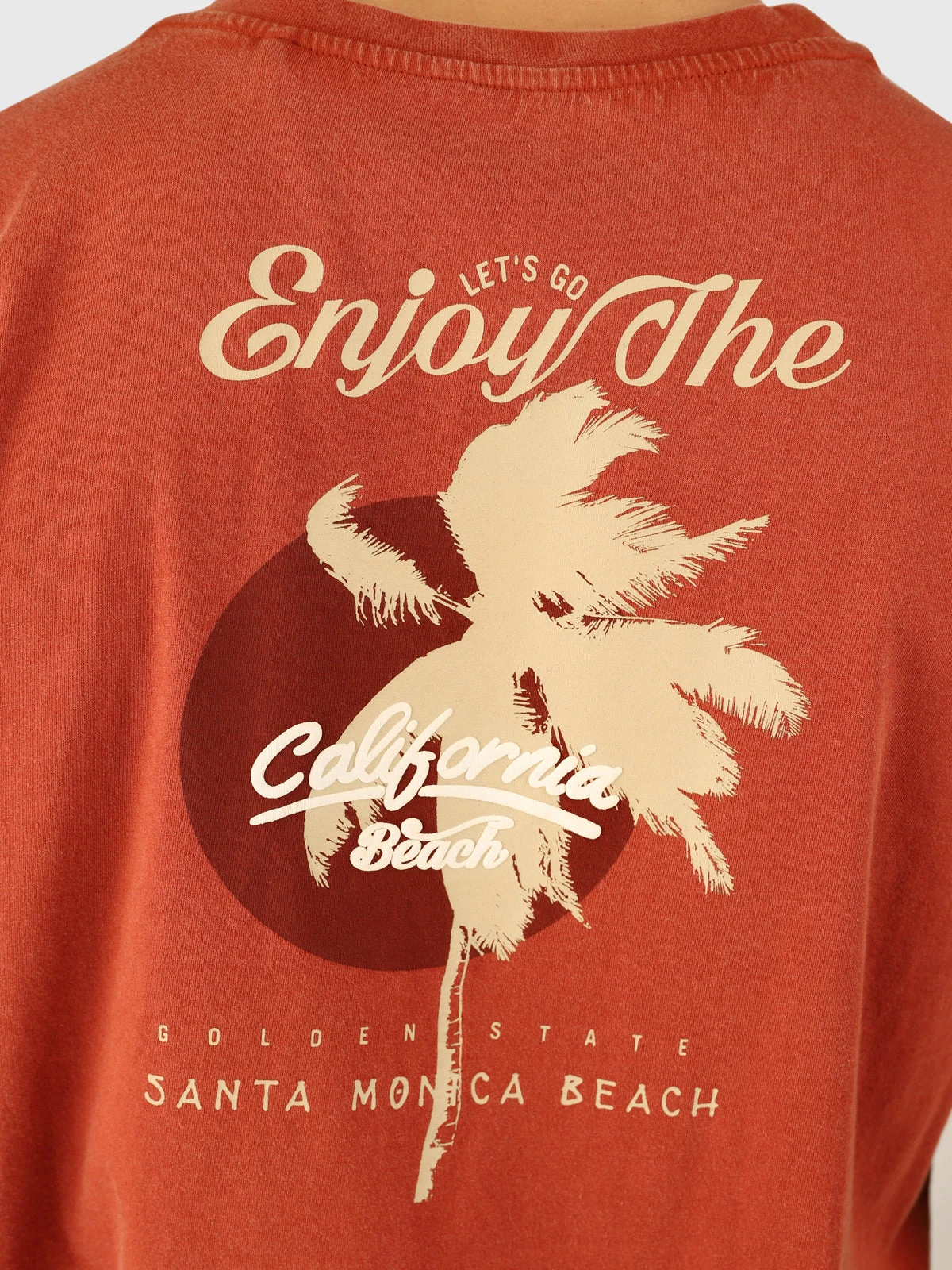 Brunotti Wandes Men T-shirt | Arabian Spice - Image 6