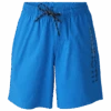 Brunotti Cestery Boys Swim Shorts | Neon Blue